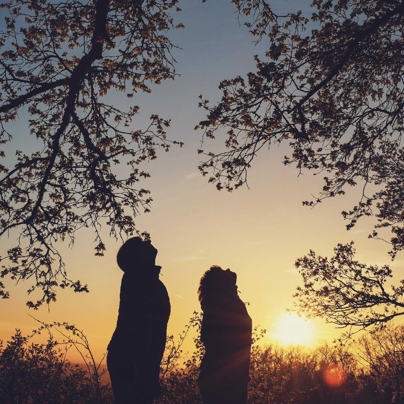 Zwei Frauen stehen bei Sonnenuntergang unter Baeumen und schauen in den Himmel.